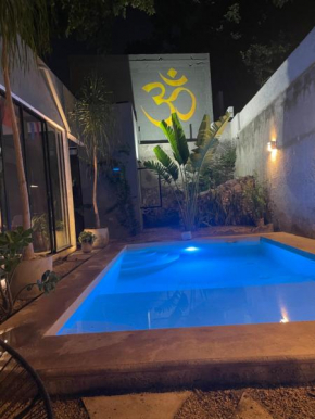 Hidden Oasis in the heart of downtown/ Private pool A/C